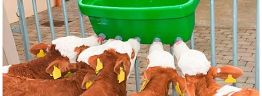 Prodaja kmetijske in hlevske opreme Slovenija, Agro Štern