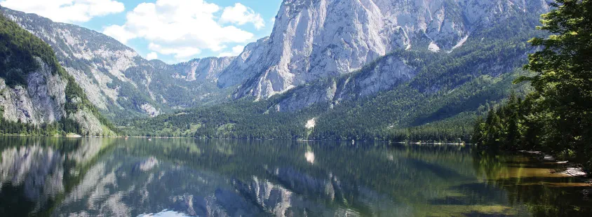 Prodaja soli Slovenija, SALINEN PROSOL