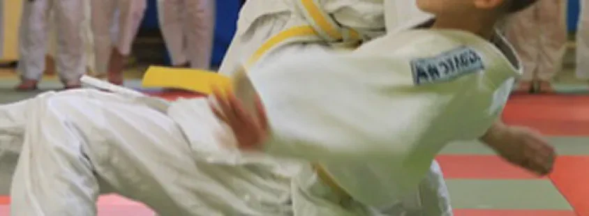 Judo klub Osrednja Slovenija