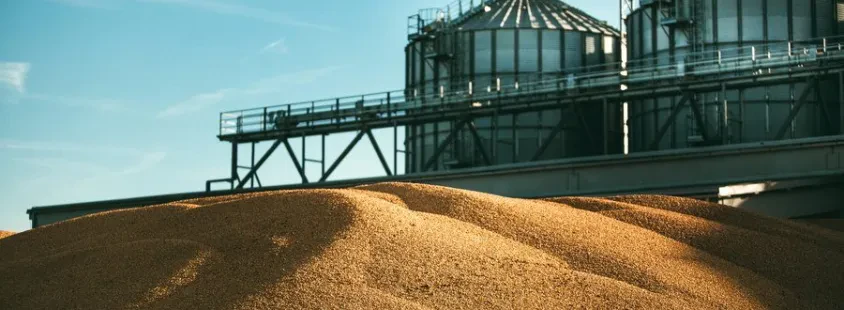Prodaja in odkup žit Slovenija/Italija, AGROCORN