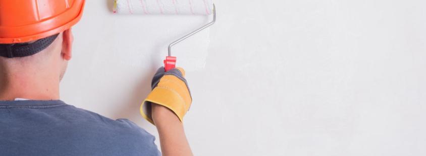 Suhomontaža, kvaliteten slikopleskar, Šentjernej, Dolenjska