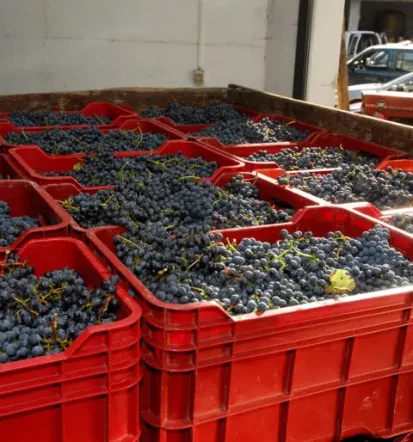 Degustacija vin, vabljeni
