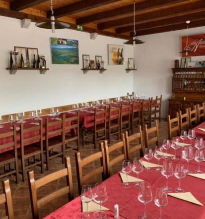 Degustacija vin v vinski kleti na Goriškem