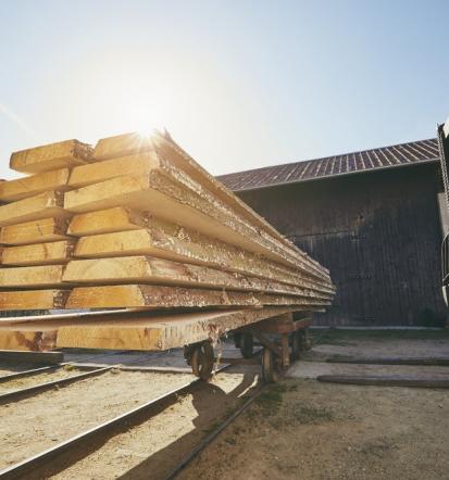 Projektiranje strojev po naročilu za lesno industrijo Slovenija