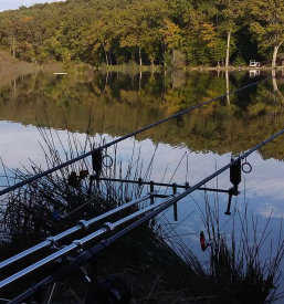 Bukovniško jezero