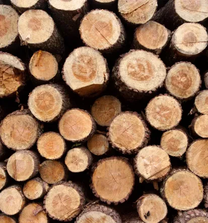 Stroji za lesno industrijo, pokličite za top ponudbo