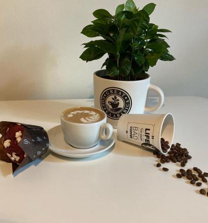 Tečaj barista, pravilna tehnika vlivanja mleka