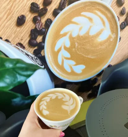 Tečaj barista za vse, ki vas to delo veseli