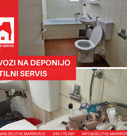 Selitve, prevozi tovora in blaga, visokotlačno čiščenju tlakovcev fasad in streh Štajerska, Pomurje