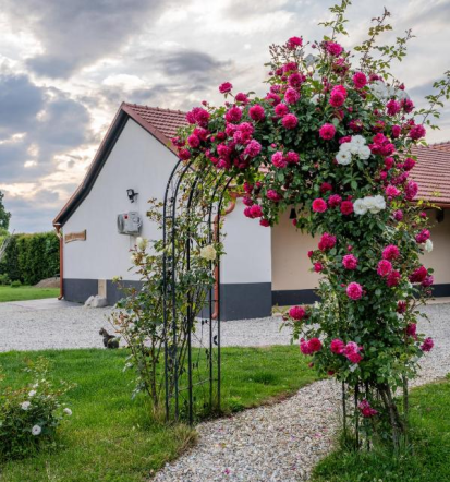 Dober apartma v Pomurju