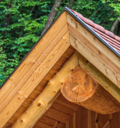 Lesene fasade, Pomurje