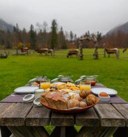 Nočitve Logarska dolina, Hiša Ojstrica