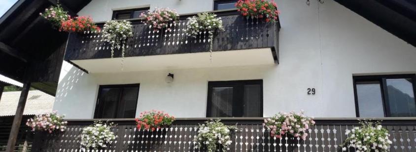 Ugodni apartmaji Gorenjska, Brane Apartment