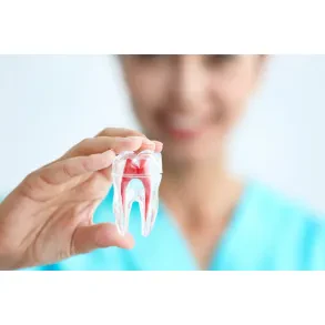 DS DENTAL d.o.o.