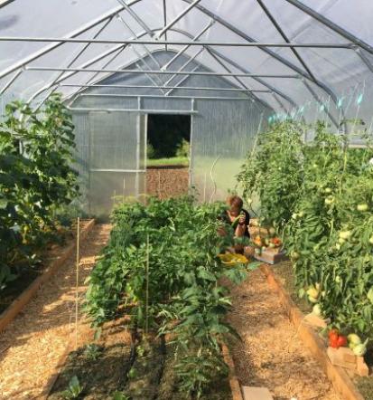 Rastlinjaki Slovenija, Evropa