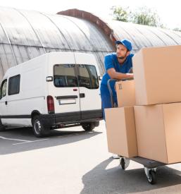 Mednarodni in domači prevozi tovora, logistične storitve