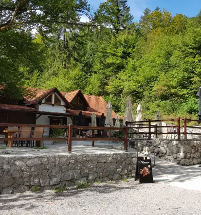 Domača hrana Ljubljana