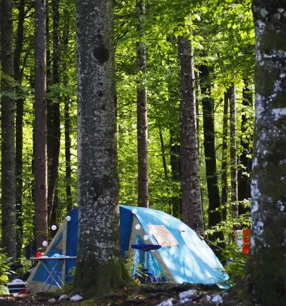 Kamp