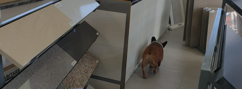 Polaganje kamna in keramike, Štajerska, okolica