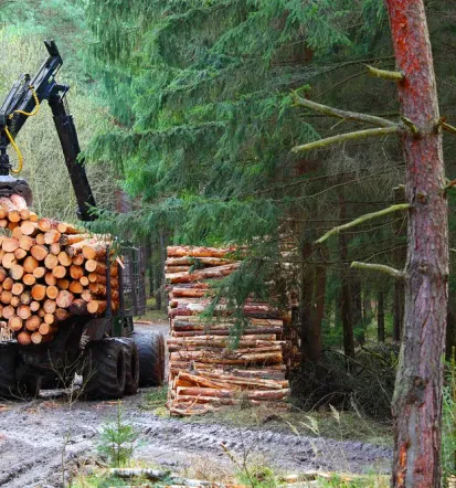 Sečnja, spravilo lesa, kmetijska mehanizacija Savinjska
