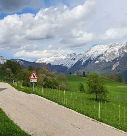 Avtobusni prevozi Slovenija, tujina