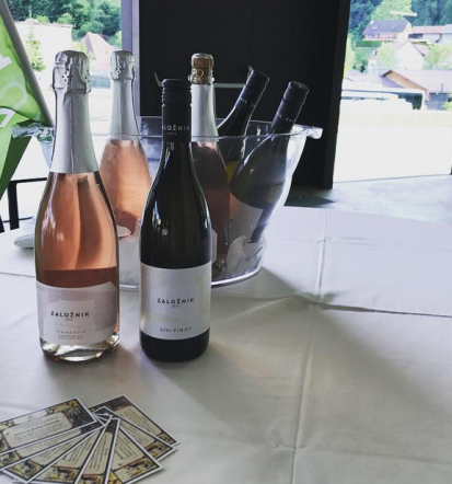 Degustacija vin Slovenske Konjice