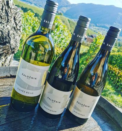 Vabljeni na pokušino vin v Slovenske Konjice