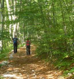 Turistična ponudba