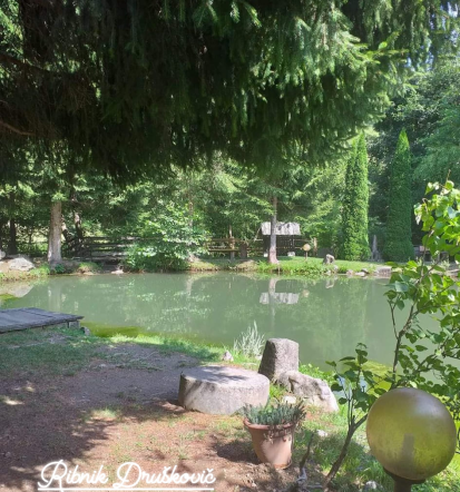 Piknik prostor Savinjska