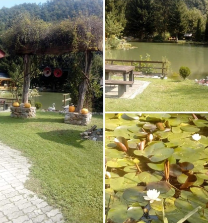 Najem piknik prostora Savinjska