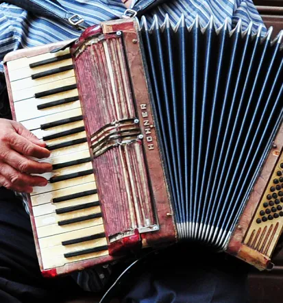 Popravilo vseh vrst harmonike Slovenija