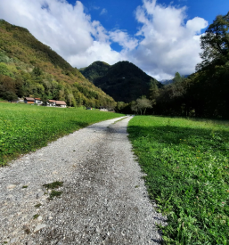 Turistično vodenje