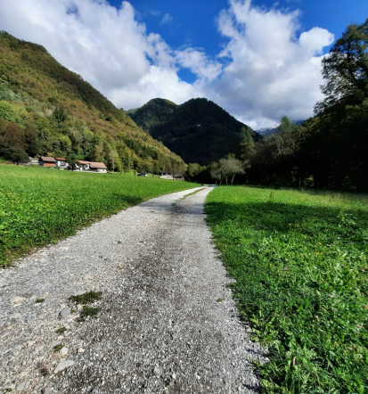 Turistično vodenje