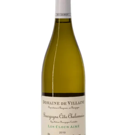 Najboljše belo vino Goriška