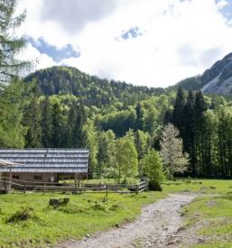 Turistična kmetija, domača hrana, Gorenjska