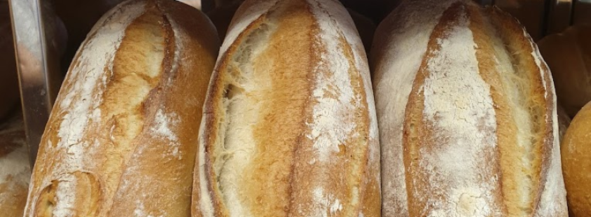 Pekarna Sevnica z okolico