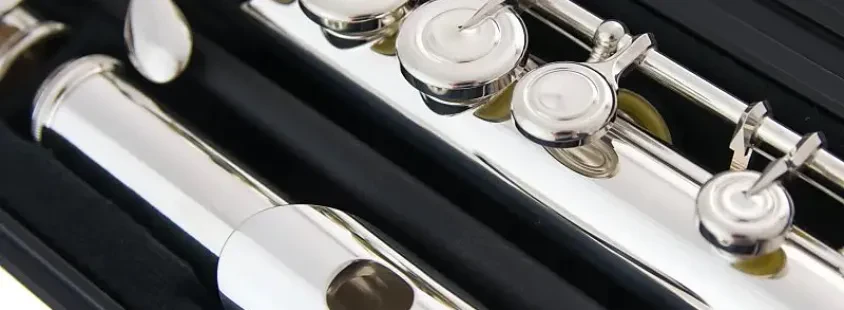Prečna flavta, violina Slovenija