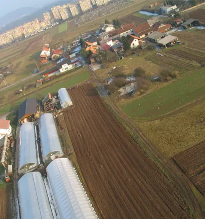 Iščete svežo, doma pridelano zelenjavo v Ljubljani, kmetija Dovč, prava izbira za vas
