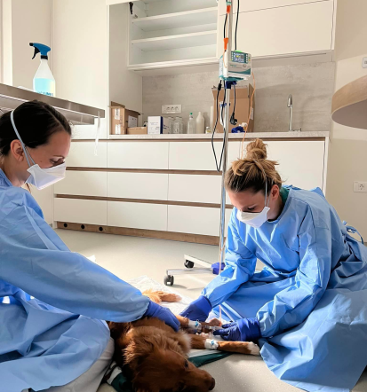 VET4PET, veterinarstvo d.o.o. iz Radomelj