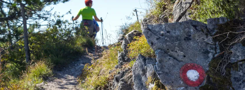 Najboljše planinsko društvo Gorenjska - PD za Selško dolino, Železniki