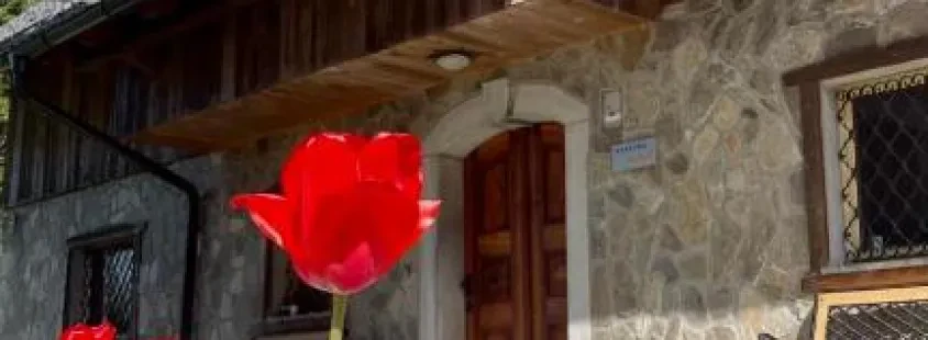 Apartmaji in bungalovi Bled, Bohinj z okolico - 4 Elements