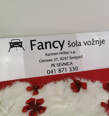 Avtošola Šentjanž