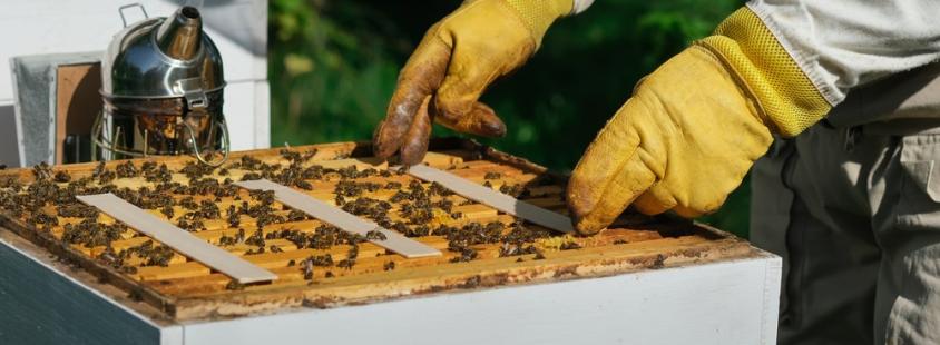 Čebelarsko društvo Apače