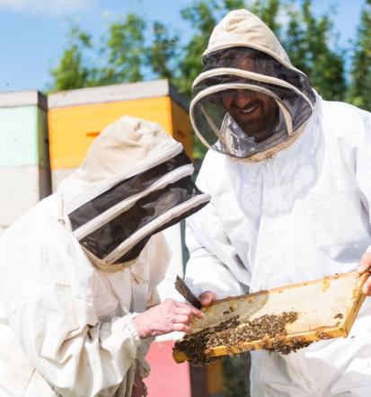 Lokalna skupnost se zaveda vrednosti čebelarskih izdelkov