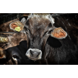 YERI d.o.o. Ljubljana