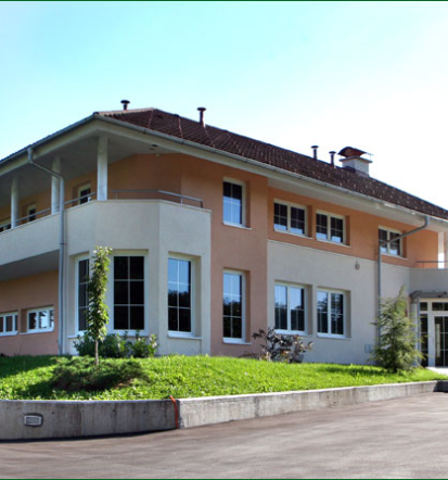 Barjanski čaj za ledvice