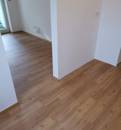 Adaptacije