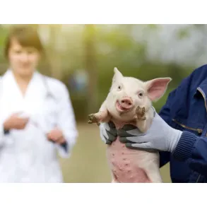 Kmetijsko gozdarska zbornica Slovenije kmetijsko gozdarski zavod Murska Sobota