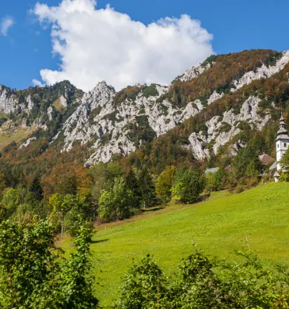 Cenilec za gozdarstvo Slovenija