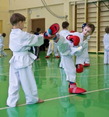Združujemo 40 klubov borilnih veščin